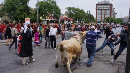 Mülkiyelilerin İnek Bayramı'nda ‘imamlı’, 'milli içki'li temsil