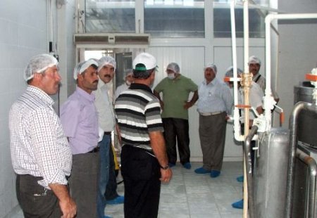 Muş Heyeti, Hayvancılıkta Başarılarıyla Ön Planan Çıkan Burdur'da İnceleme Yaptı