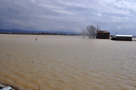 Muş Ovası sular altında