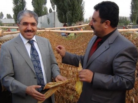 Muş'a tütünden 12 milyon lira girecek