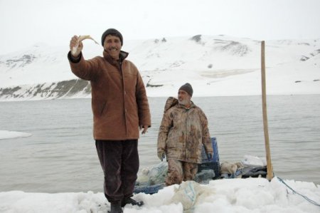 Muşlu Balıkçılar, Tirol Ağlarından Şikayetçi