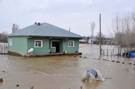 Muş’ta dereler taştı evler sular altında kaldı