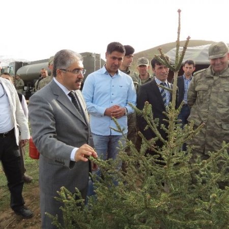 Muş'ta Gül'ün ziyaretinin anısına 5 bin fidan dikildi