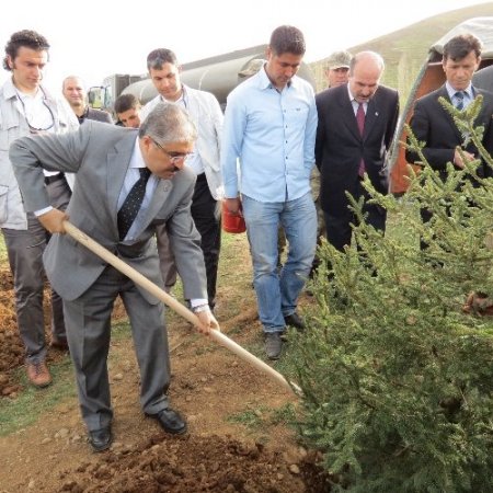 Muş'ta Gül'ün ziyaretinin anısına 5 bin fidan dikildi