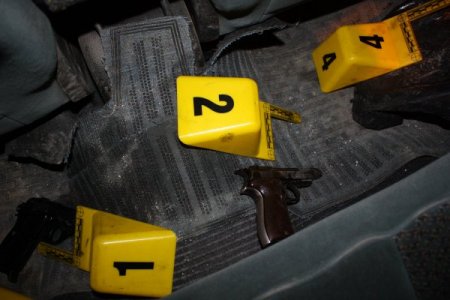 Muş'ta Kaçak Silah Operasyonu