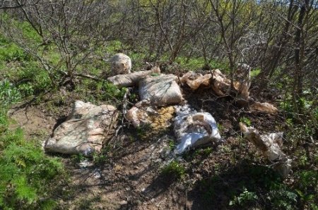 Muş'ta PKK'nın erzak deposu bulundu