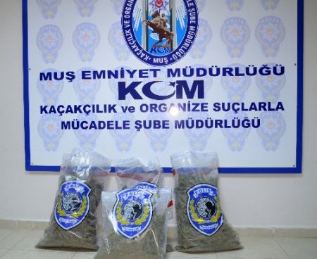 Muş'ta uyuşturucu operasyonu
