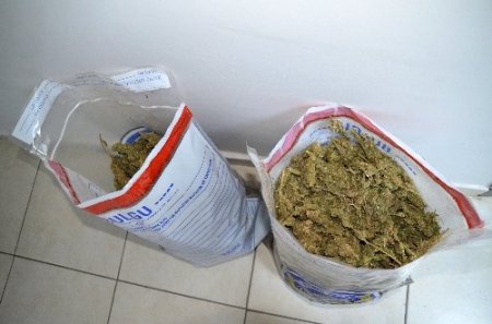 Muş'ta uyuşturucu operasyonu