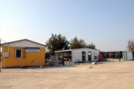 Mustafakemalpaşa’da sahipsiz hayvanlara yeni bir yuva