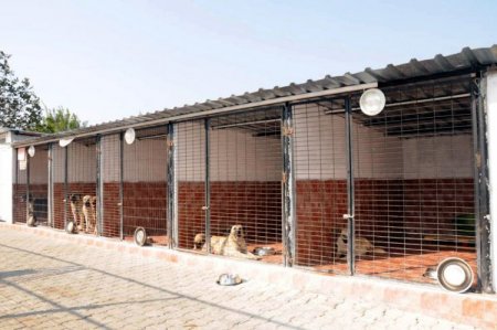 Mustafakemalpaşa’da sahipsiz hayvanlara yeni bir yuva