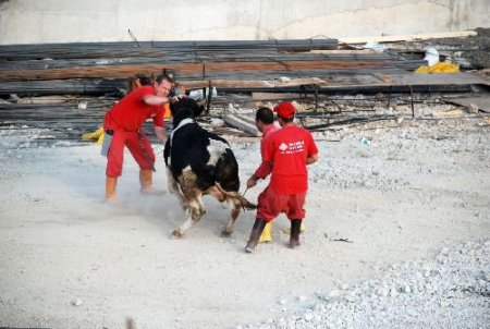 My Dream City'nin Temeli Atıldı