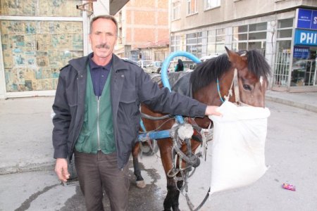 Nalbantlık mesleğini at arabacıları yaşatıyor