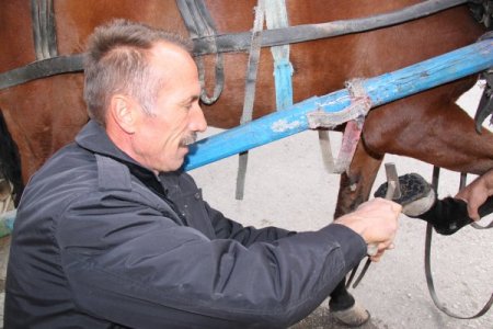 Nalbantlık mesleğini at arabacıları yaşatıyor