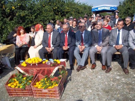 Narenciye işçileri hasat şenliğinde halay çekti