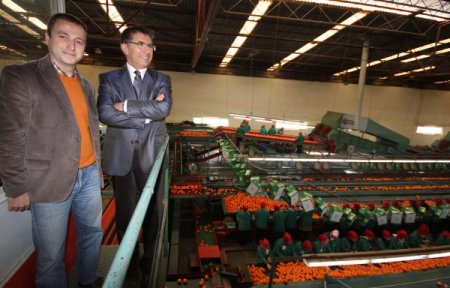 ''Narenciyede, pazarın istediği çeşitler keşfedildi''