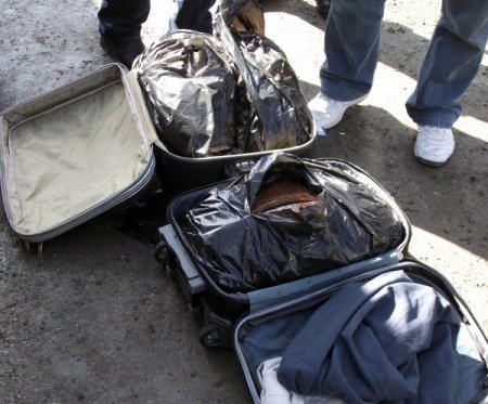 Narkotik köpeği Tora uyuşturucuya geçit vermiyor