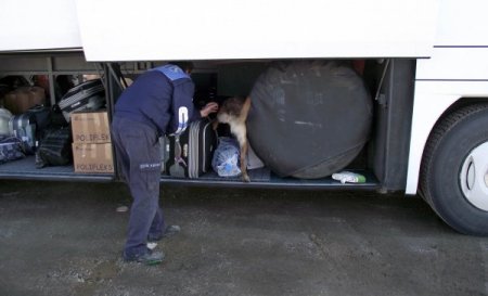 Narkotik köpeği Tora uyuşturucuya geçit vermiyor