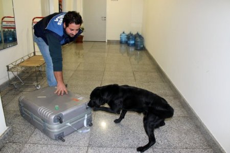 Narkotik köpekleri uyuşturucu çetelerinin korkulu rüyası