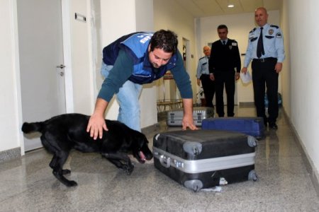 Narkotik köpekleri uyuşturucu çetelerinin korkulu rüyası