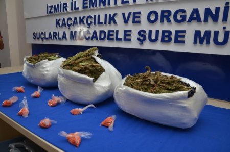 Narkotik köpekleri uyuşturucu çetelerinin korkulu rüyası