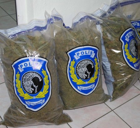 Narkotik köpekleri uyuşturucu çetelerinin korkulu rüyası