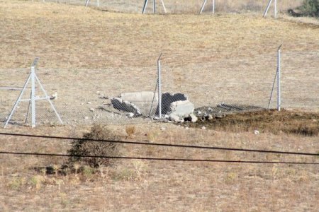 NATO Petrol Boru Hattı'nda patlama