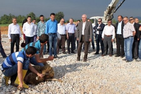 Netlog Lojistik Merkezi’nin temeli atıldı