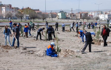 Nevruz Bayramı'nda 3 bin fidan toprakla buluştu