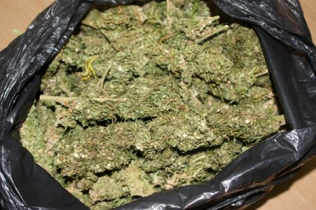 Nevşehir Emniyet Müdürlüğü'nden uyuşturucu operasyonu: 13 gözaltı