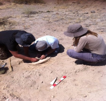 Nevşehir’de 10 milyon yıllık gergedan fosili bulundu