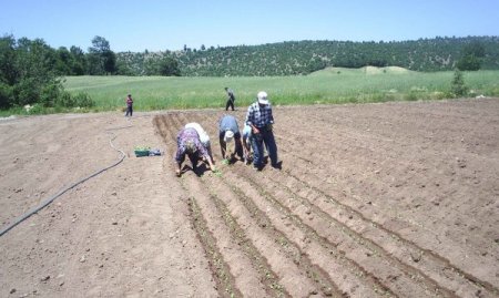 Nevşehir’de 18 Milyon Tl Destekleme Ödemesi Yapılacak