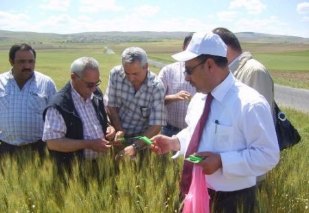 Nevşehir'de 200 Bin Sinakle Süneye Karşı Mücadele Edilecek