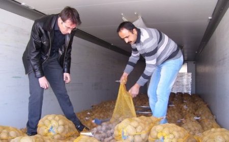 Nevşehir’de 320 bin ton patates üretiliyor