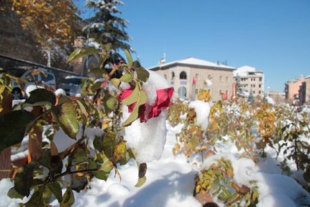 Nevşehir'de kar güllere ayrı bir güzellik kattı