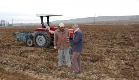Nevşehir'de Patates Üreticilerine 57 Milyon Lira Destek