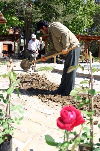 Nevşehir'de Yeşil Alan Miktarı Gelişmiş Toplumların Standartlarını Aştı