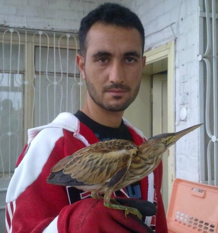 Nevşehirli çiftçi, dünyada nadir bulunan kuşu kapı önünde buldu