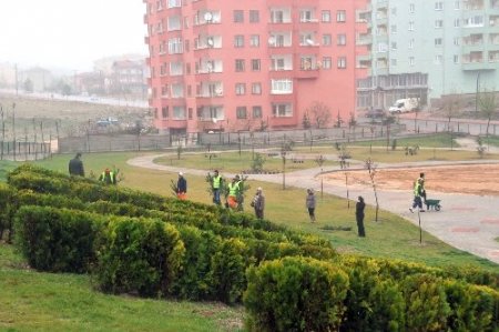 Niğde'de yeşil alan çalışmaları devam ediyor