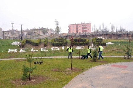 Niğde'de yeşil alan çalışmaları devam ediyor
