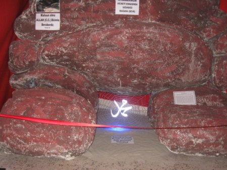 Niksar'da Kutlu Doğum Evi açıldı