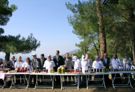 Niksar’da organik gıda üretimi yaygınlaşıyor