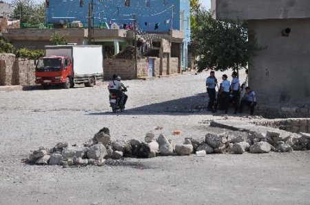 Nusaybin'de 7 Kişi Gözaltına Alındı