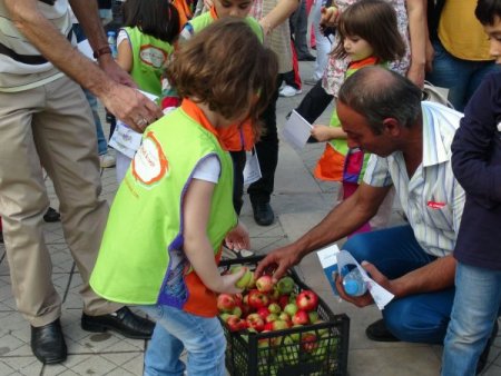 Obeziteyle mücadele için önce yürüdüler sonra elma yediler