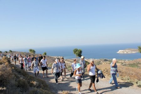 Obeziteyle mücadele için yürüdüler