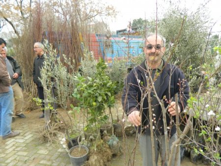 Ödemiş'te fidan dikimi hızlandı