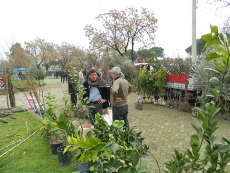 Ödemiş'te fidan dikimi hızlandı