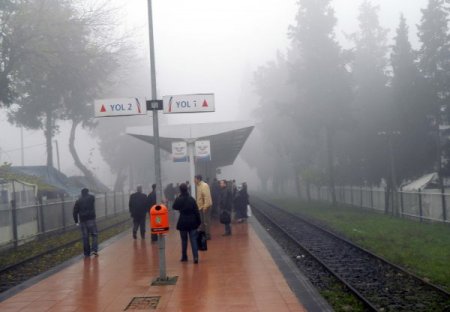 Ödemiş'te yoğun sis günlük hayatı olumsuz etkiliyor