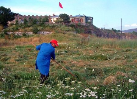 Ödenek Olmadığı İçin Kaledeki Otları Kültür Ve Turizm Müdürü Biçiyor