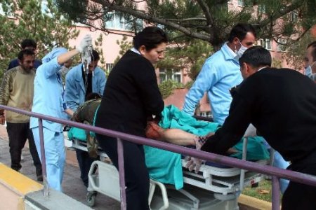 Odun Keserken Domuzun Saldırısına Uğrayan Çiftçi Yaralandı