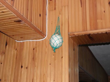 Of Sanayi Camii'ni Örümceklerden Devekuşu Yumurtası Koruyor